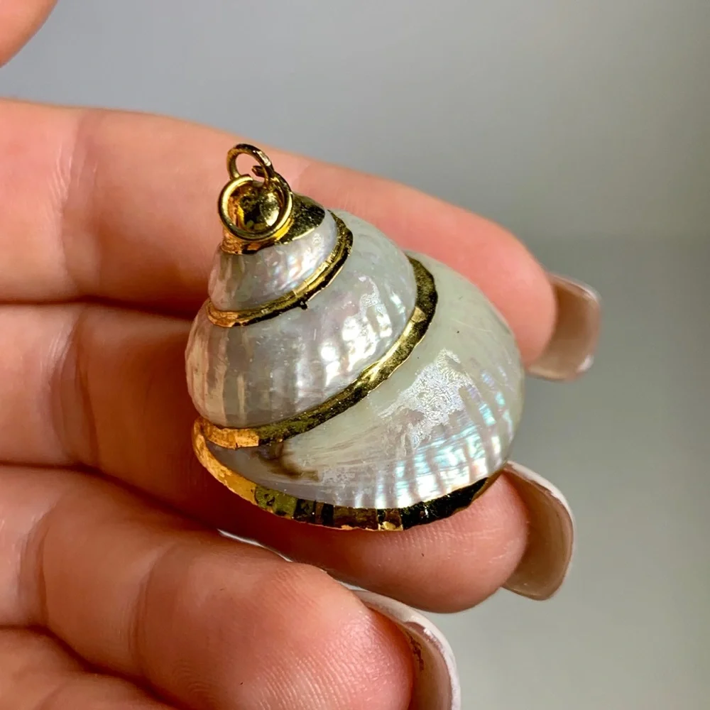 ⭐️Gold Plated Shell ⭐️ - Picture 7 of 8
